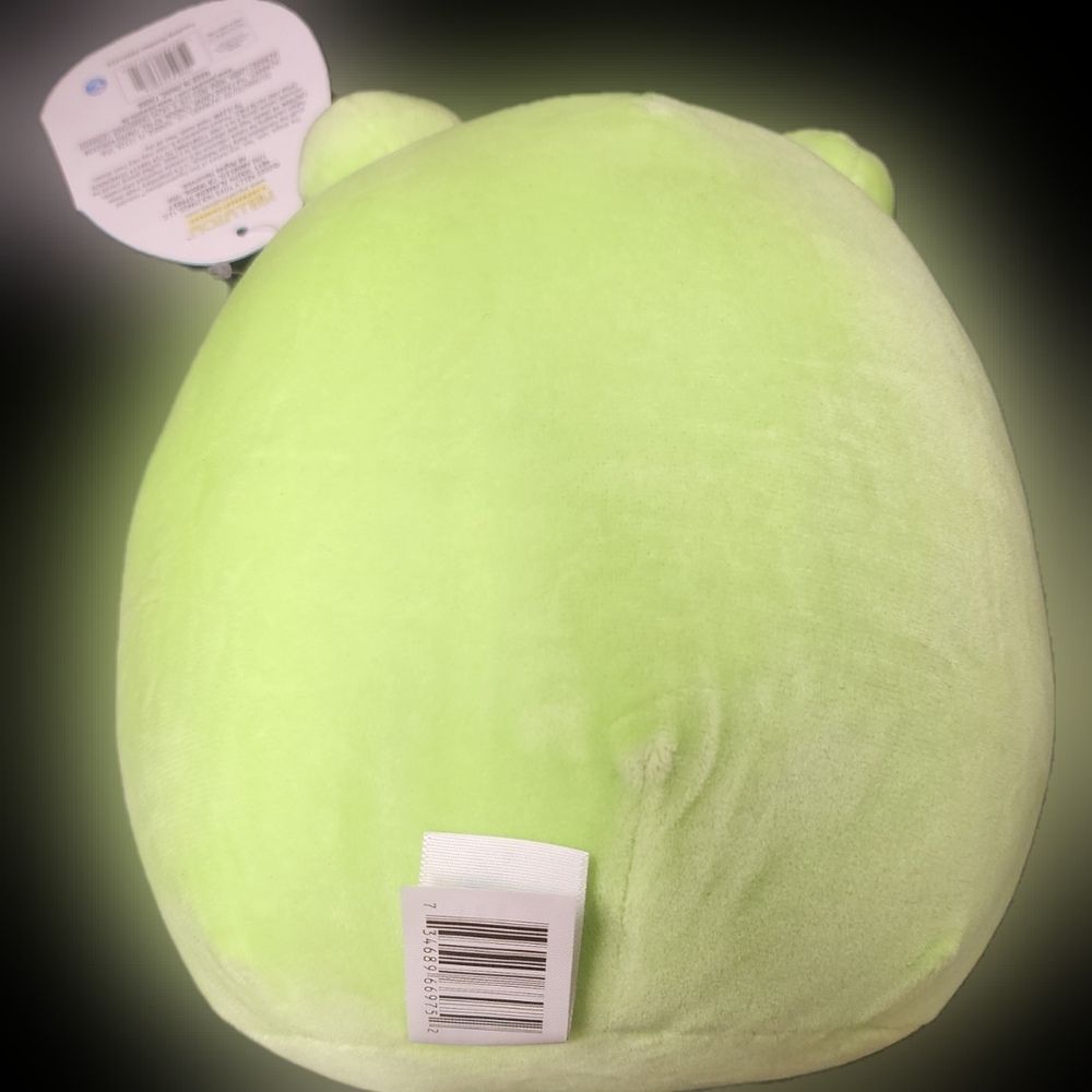 Squishmallow,  Wendy the Frog - Picture 2 of 7